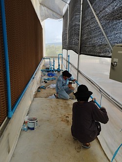 ช่างประปาพะเยา งานวางระบบน้ำหยด โรงเรือนปลูกพืชแบบปิด